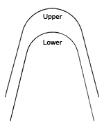 archform-standard-form (2)
